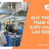 QUY TRÌNH THAM GIA XUẤT KHẨU LAO ĐỘNG