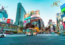 HỌC ONLINE CÙNG TIC - HÀNH TRANG VÀO TƯƠNG LAI