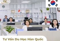 Tư Vấn Du Học Hàn Quốc Tại Công Ty Cổ Phần Quốc Tế TIC