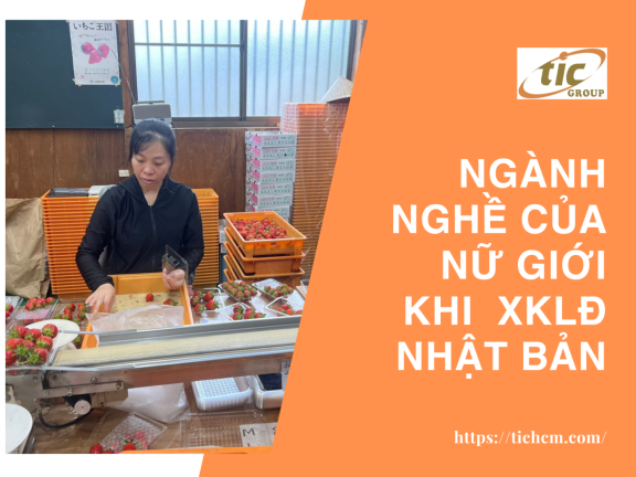 Nữ giới nên chọn đơn hàng nào để đi XKLĐ Nhật ?