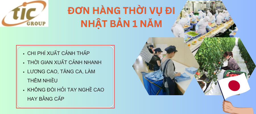 Đơn hàng thời vụ là gì?